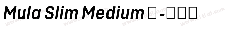 Mula Slim Medium 中字体转换